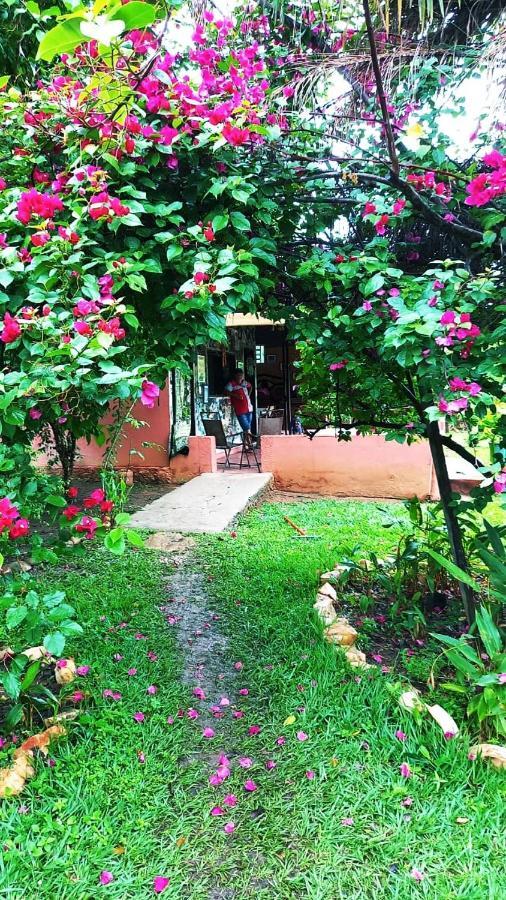 Pousada Estacao Lunar - Terra Ronca Sao Domingos de Goias Exterior photo